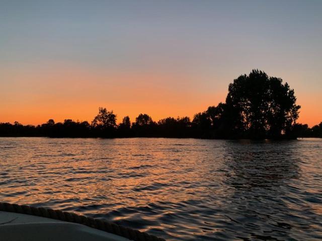 Holiday Home At The Water, Fire Place, Boat And Sup Rent, Near Amsterdam Aalsmeer Exterior photo